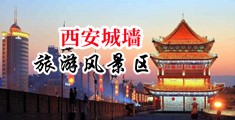 操美女白嫩小逼中国陕西-西安城墙旅游风景区
